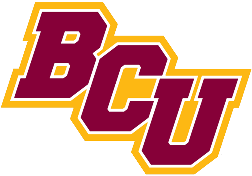 Bethune-Cookman Wildcats 2016-Pres Secondary Logo iron on transfers for T-shirts